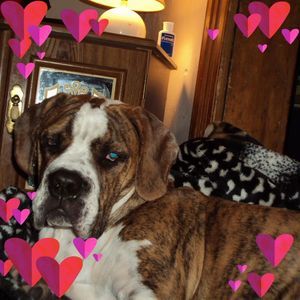 Meet your Posher, Connie